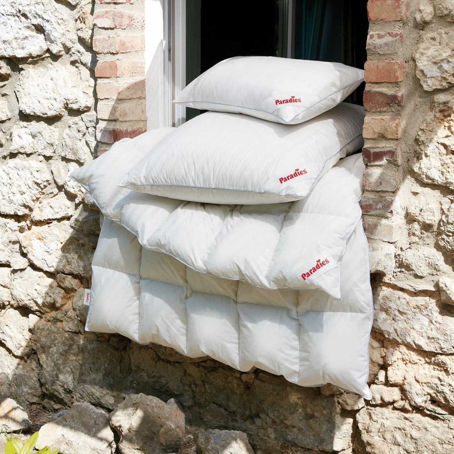 Paradies Gänsedaunen Bettdecke Daunendecke Galia medium warm 135x200