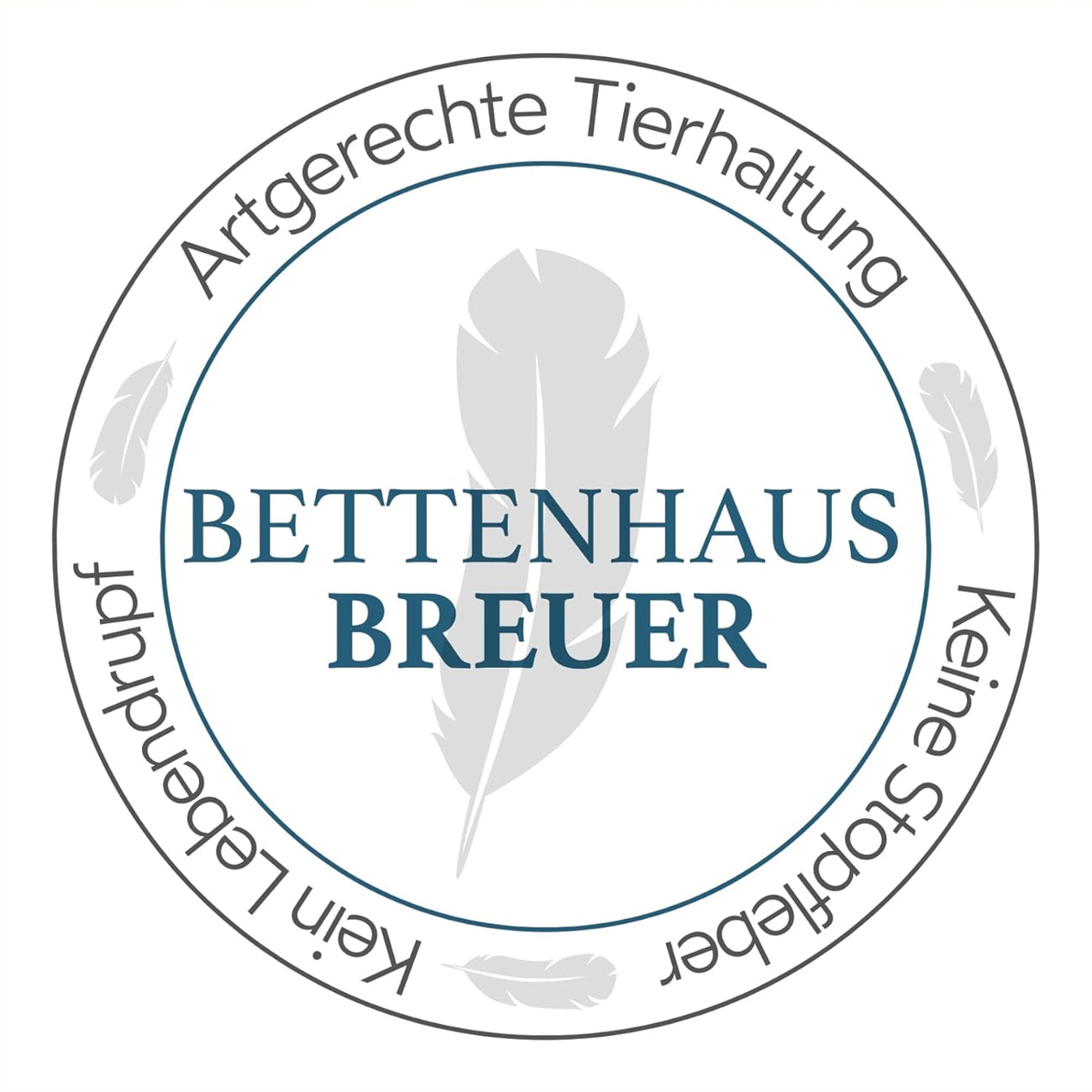 Super warme 100% Winter Hochsteg Daunendecke 1550g Daunen 155x220