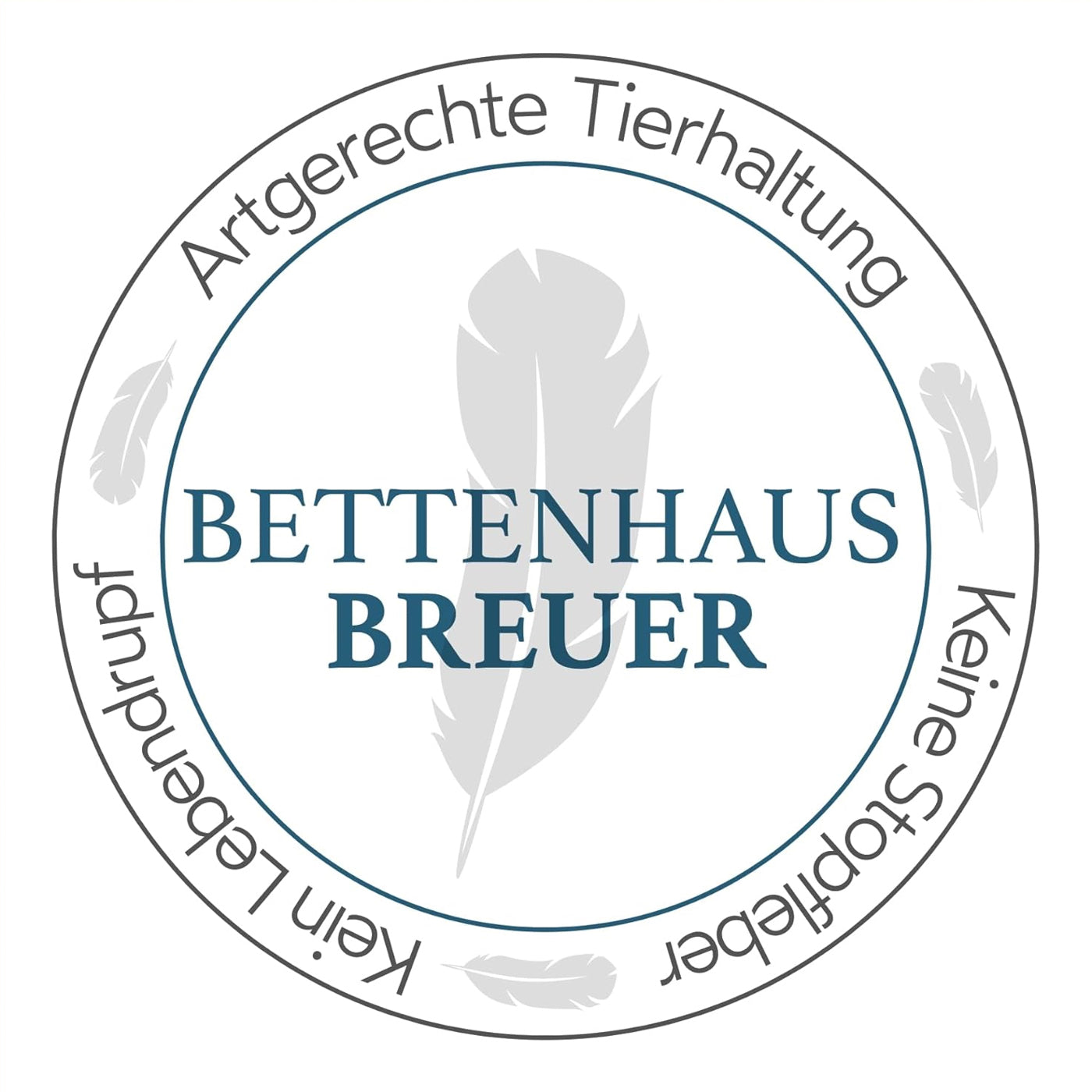 Kopfkissen 1100g neue 30% Daunen 70% Federn medium Daunenpass 80x80