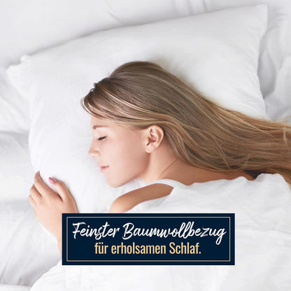 3 Kammer Kopfkissen premium extra dick 590g neue Daunen Klasse1 40x80