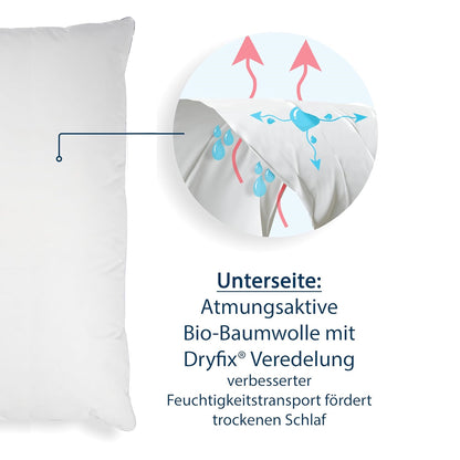 Paradies kühlendes Kopfkissen Kissen Softy Cool Sleep Bio 40x80 cm