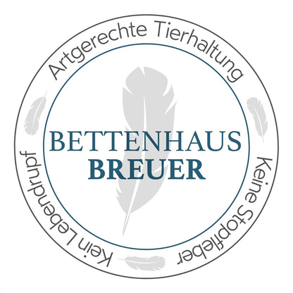 Winter Außensteg Bettdecke Daunendecke 1390g premium Daunen 155x220
