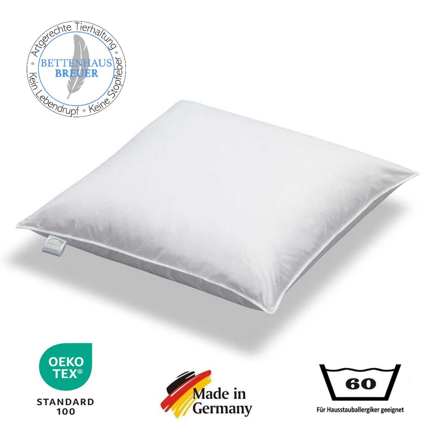 Kopfkissen Daunenkissen 100% sibirische Daunen 500g leicht weich 80x80