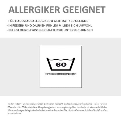 2 Stück Kopfkissen waschbar Allergiker Baumwollbezug Klimafaser 80x80