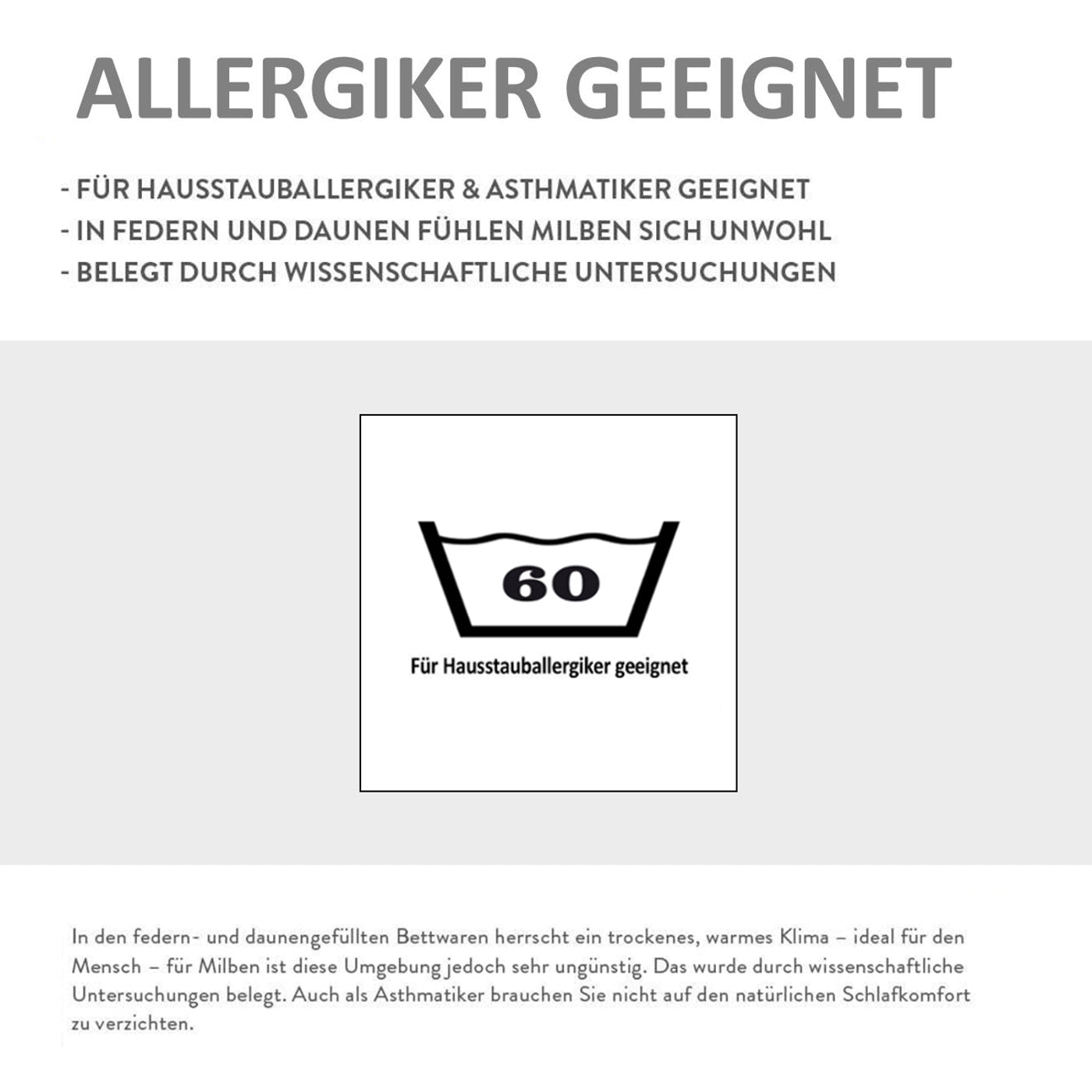 Kopfkissen Allergiker Kissen 60° Wäsche Baumwollbezug Klimafaser 80x80